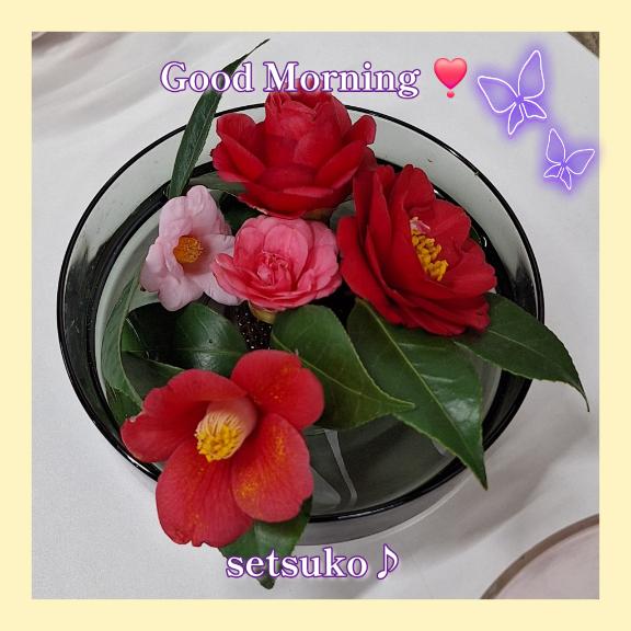 ?完熟ばなな上野店・せつこ♪