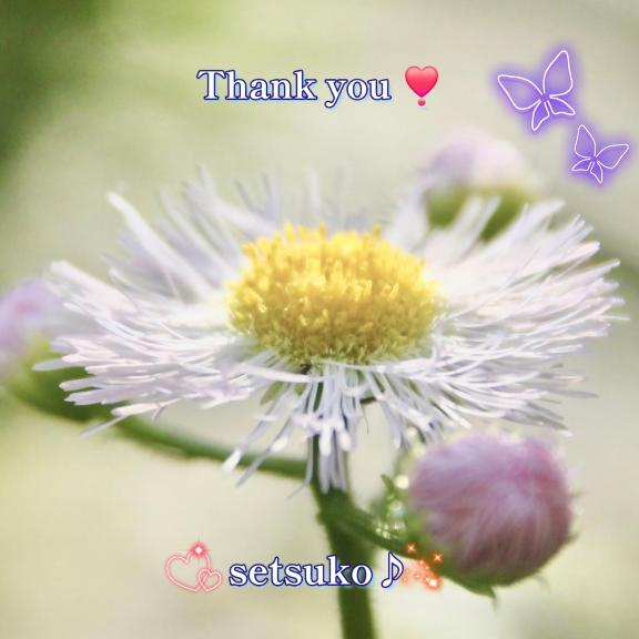 ☆★☆ご予約ありがとうございます????完熟ばなな上野店・せつこ♪