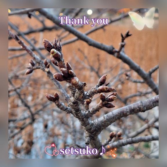 ?完熟ばなな上野店・せつこ♪