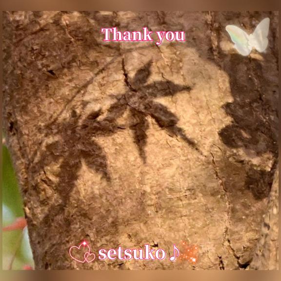 ?完熟ばなな上野店・せつこ♪