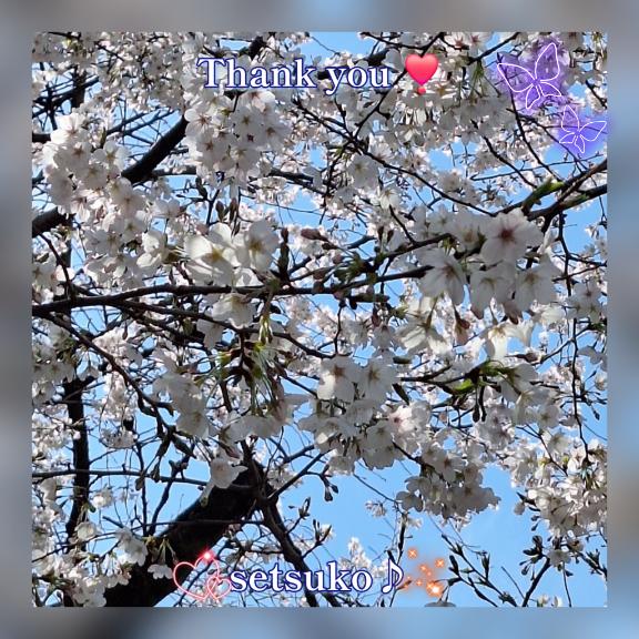 ☆★☆ご予約ありがとうございます????完熟ばなな上野店・せつこ♪