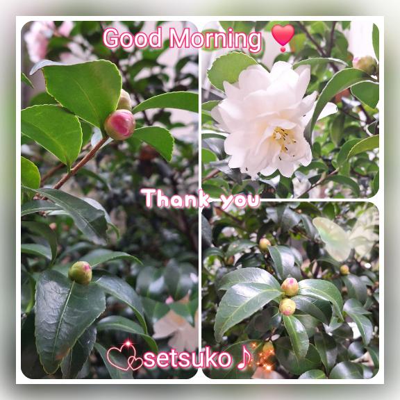 ?完熟ばなな上野店・せつこ♪