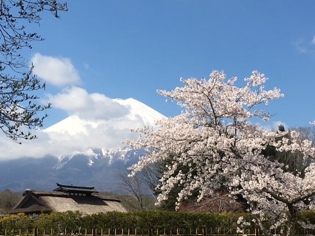 日本晴れ