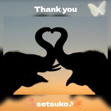 1枚目