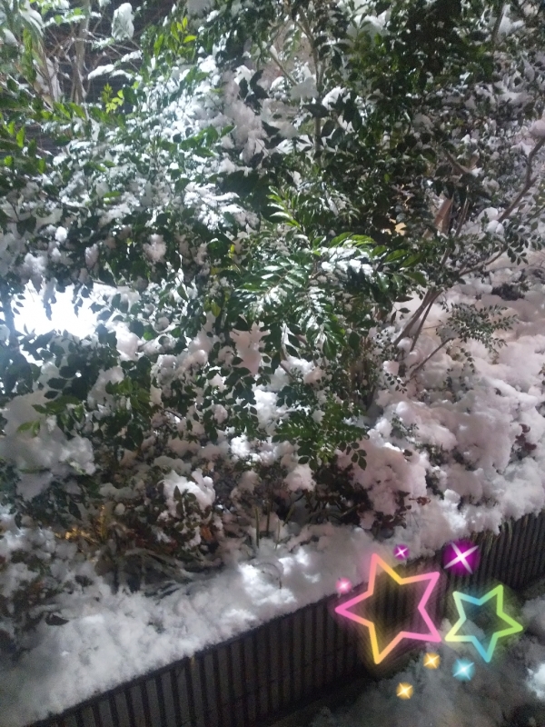 ☆雪☆