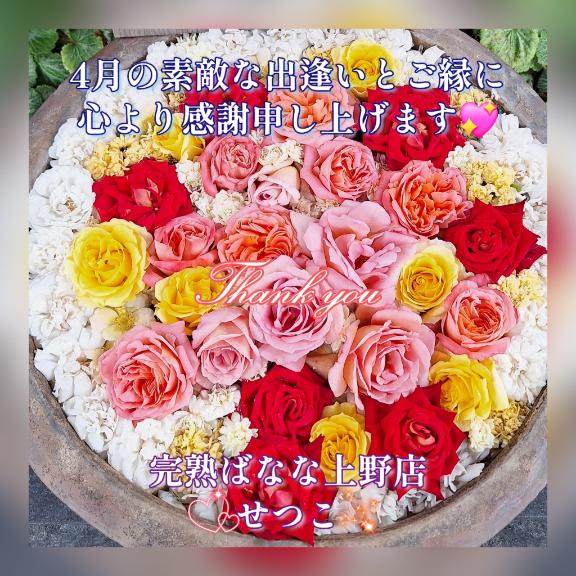 ☆★☆4月の素敵な出逢いとご縁に心より感謝を込めて??完熟ばなな上野店・せつこ♪