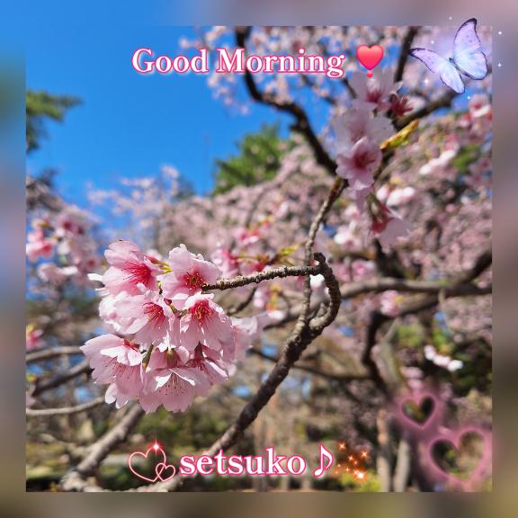 ☆★☆ご予約ありがとうございます????完熟ばなな上野店・せつこ♪