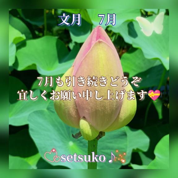 1枚目